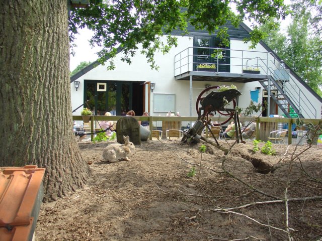 TerApel 066.jpg